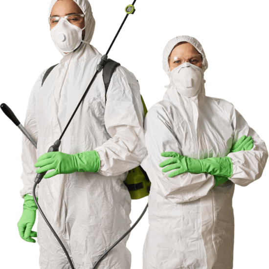 cleaning-workers-disinfecting-apartment-in-team-2025-05-07-20-25-13-TML5TBM.png